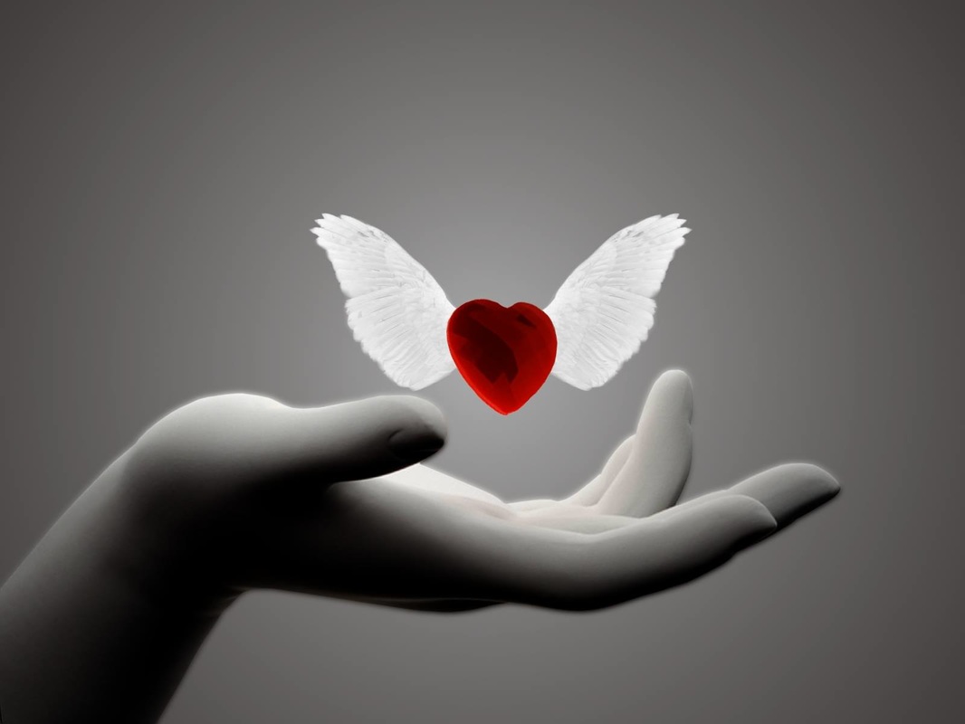 heart of love with wings
